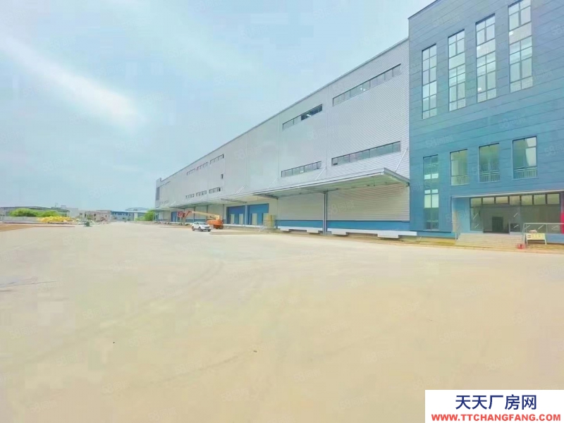 (出租) 東莞常平高速出口附近新出標準物流倉庫50000平方可以分組