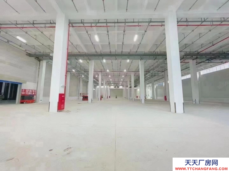 (出租) 東莞常平高速出口附近新出標準物流倉庫50000平方可以分組