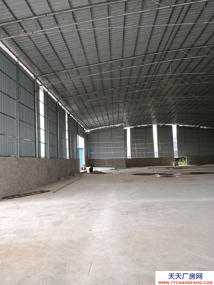 (出租)南寧市西鄉塘區 新倉庫出租。有意來電