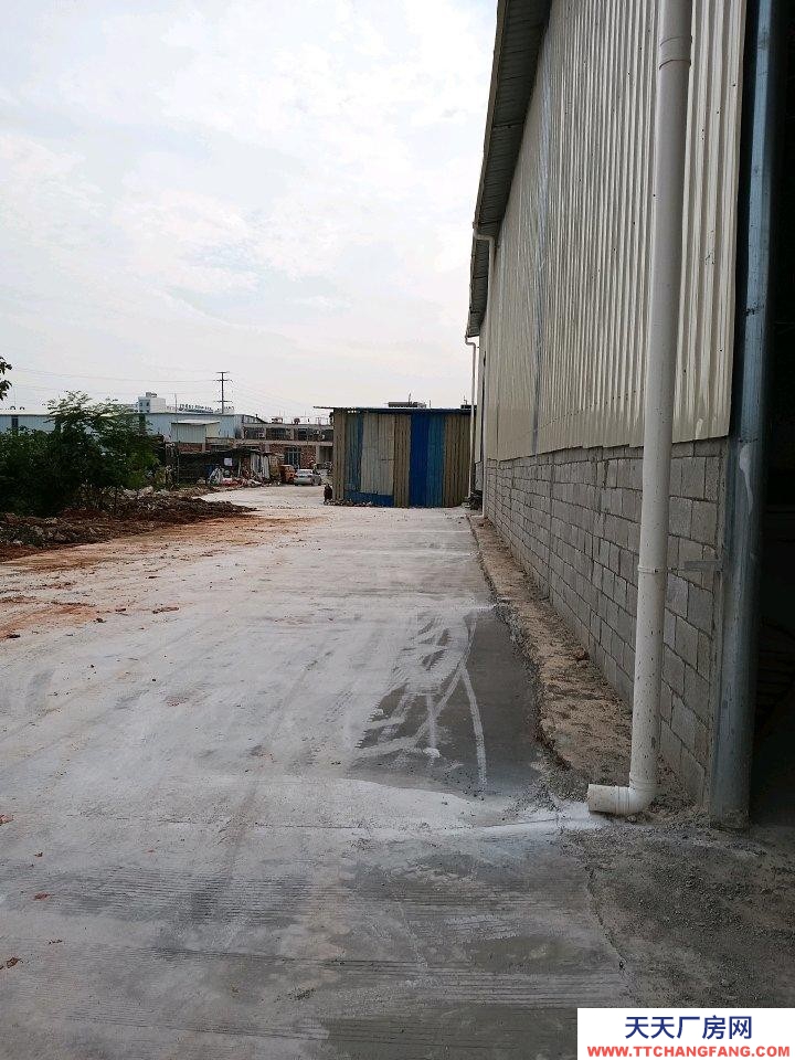 (出租)南寧市西鄉塘區 新倉庫出租。有意來電