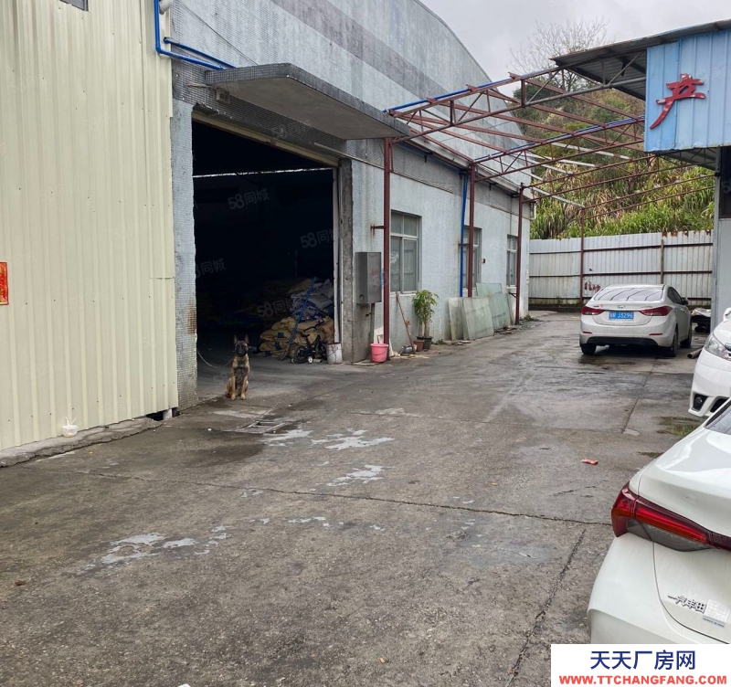 (出租) 廣州花都赤坭鎮(zhèn)磚墻到頂單一層2220方廠房倉庫出租可進(jìn)17米大車
