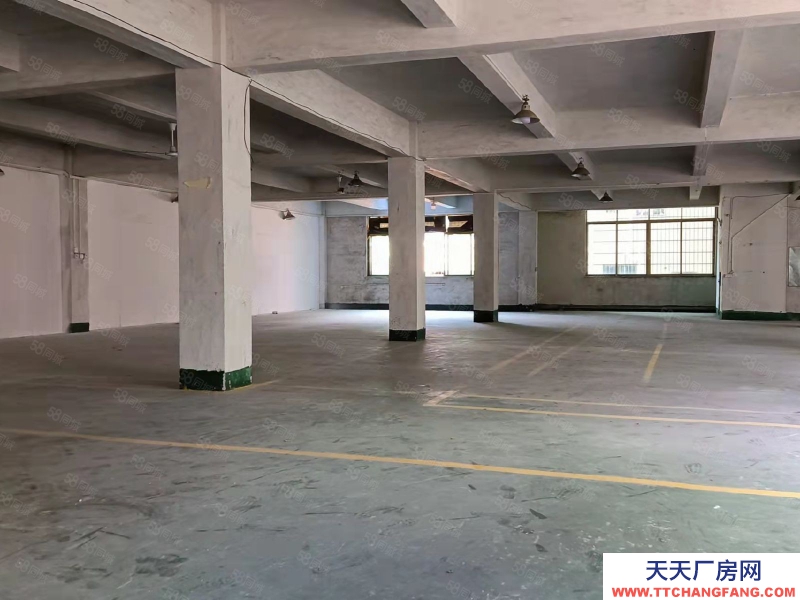 (出租) 廣州番禺近地鐵大石一手房東招租獨棟二樓700方帶3噸貨梯，24元一方