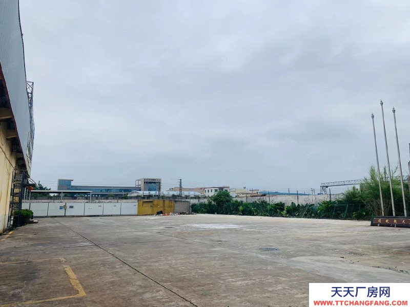 (出租) 廣州南沙大崗11米高鋼結構只要17元，證件齊全，環評秒過