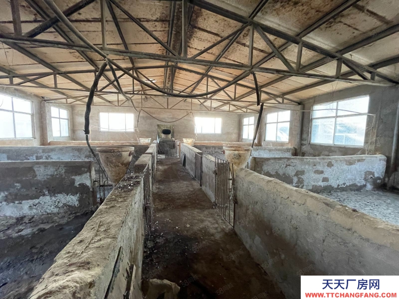 棗莊滕州張村附近廠房出租