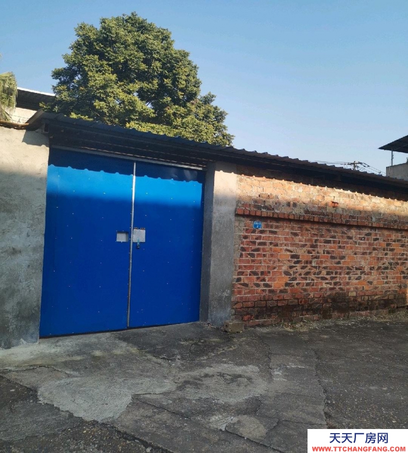 (出租)南寧市西鄉塘區美麗南方附近，交通方便，房屋寬敞，水電齊全