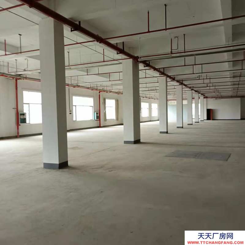 (出租)南寧市西鄉塘區高新區標準廠房、倉庫出租，大車出入方便，交通便利