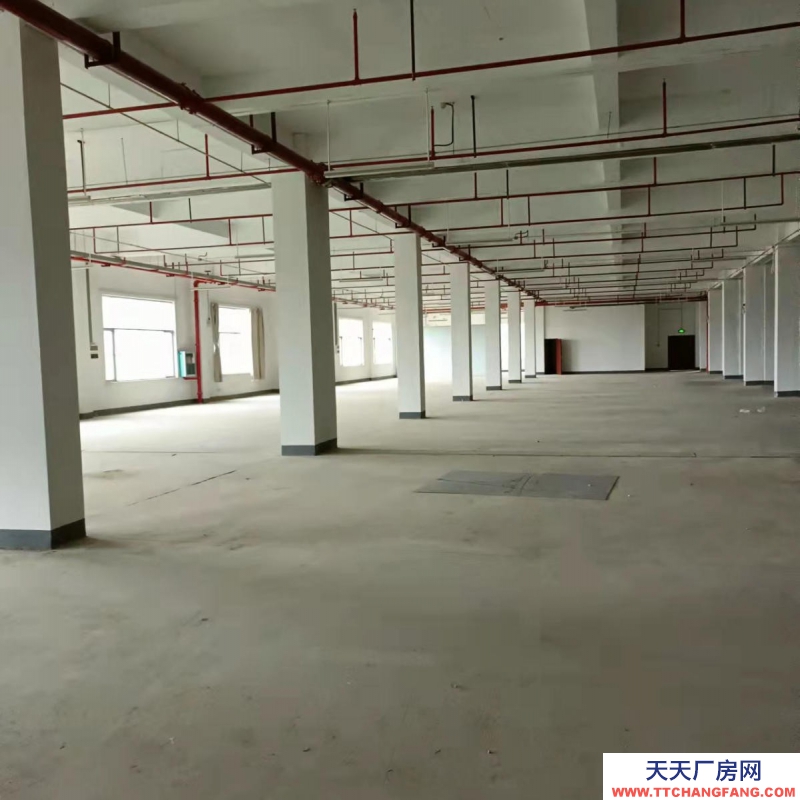 (出租)南寧市西鄉塘區高新區標準廠房、倉庫出租，大車出入方便，交通便利