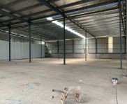 (出租) 1000平廠荊州市荊州區房一平9塊錢就問便不便宜