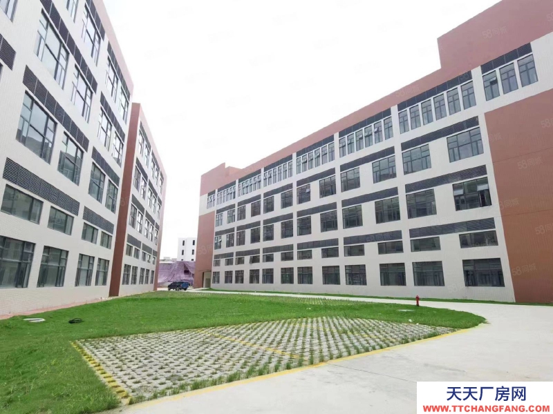 (出租) 廣州南沙新建51800方園區(qū)，可辦環(huán)評(píng)，資質(zhì)齊全，丙二類消南沙防