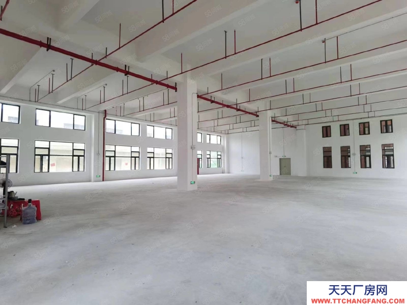 (出租) 廣州南沙新建51800方園區，可辦環評，資質齊全，丙二類消南沙防