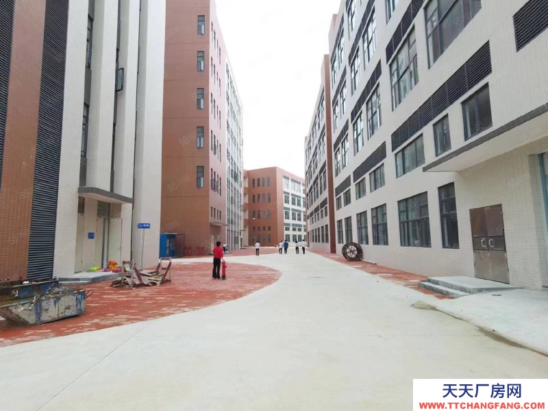 (出租) 廣州南沙新建51800方園區，可辦環評，資質齊全，丙二類消南沙防