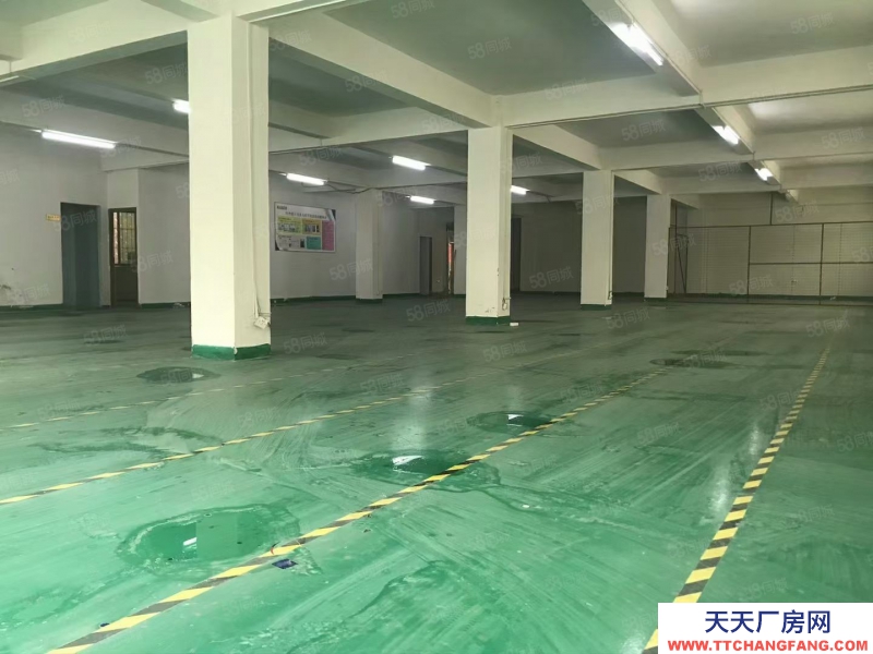 (出租)廣州番禺 南村坑頭大路邊一棟廠房2250方進出車方便可分租