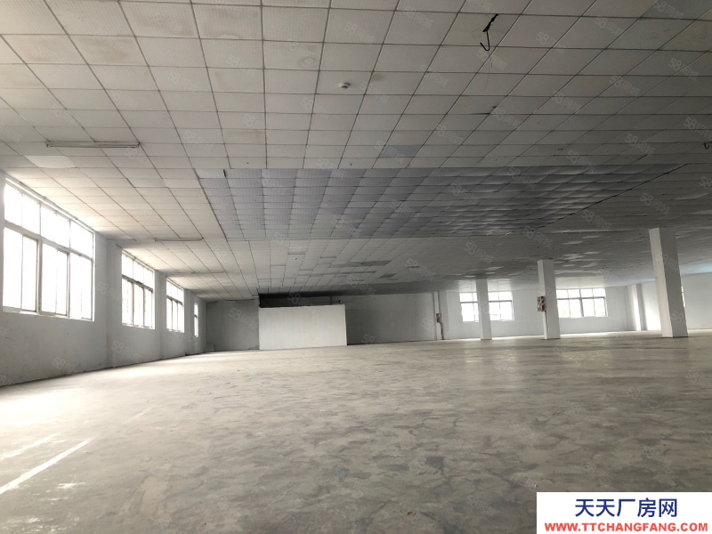 (出租) 廣州增城新塘鎮(zhèn)新出廠房9200方獨(dú)門獨(dú)院出租證件齊全大小可分