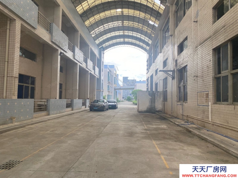 (出租) 廣州黃埔開發區東單一層1300方低價出租