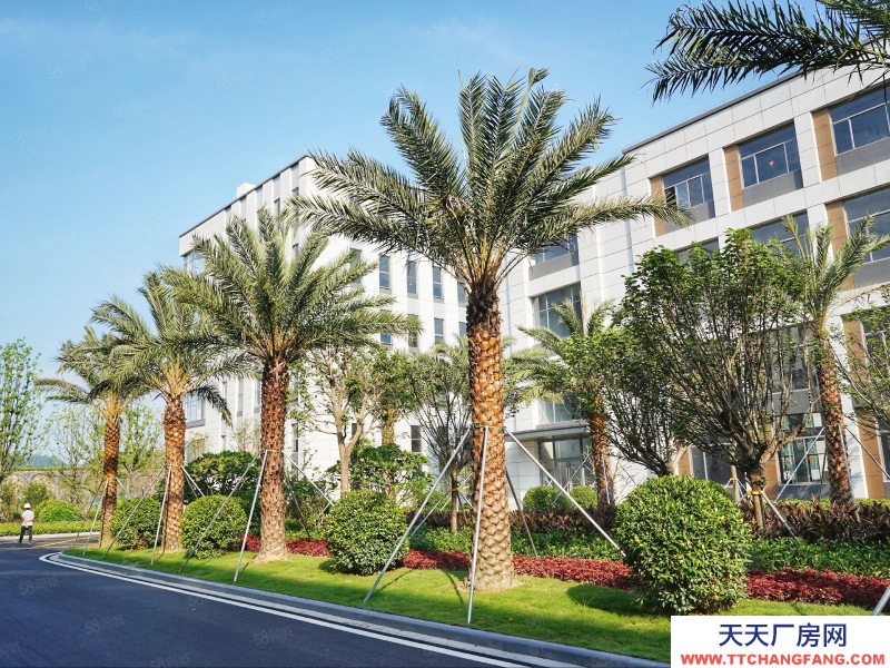 (出售) 廣州荔灣邊全新產(chǎn)權(quán)標(biāo)準(zhǔn)廠房出售！！