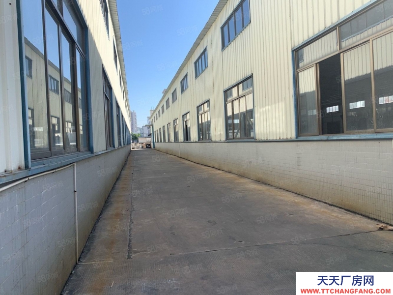 (出售) 廣州番禺獨(dú)院鋼構(gòu)廠房11000平方 占地22畝 年限30年