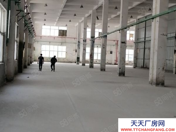 蘇州太倉市陸渡1000平到2000平獨棟廠房出租 價格低 可辦環評