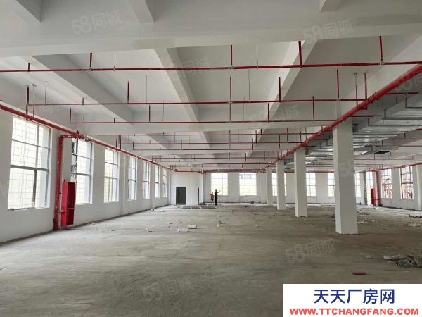 蘇州市太倉市沙家浜無門檻產業園，1500.3200平現房出售 ，首付三成