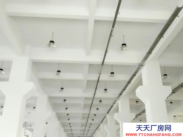 蘇州市太倉市沙家浜無門檻產業園，1500.3200平現房出售 ，首付三成