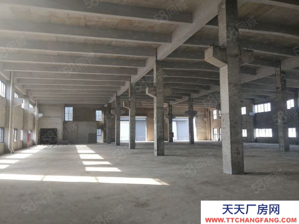 蘇州太倉市 昆山 蘇州周邊 國土50 高標(biāo)廠房