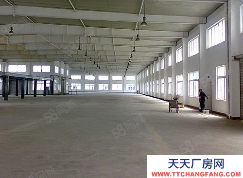 蘇州太倉市 昆山 蘇州周邊 國土50 高標廠房