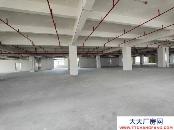 蘇州太倉市 昆山 蘇州周邊 國土50 高標(biāo)廠房