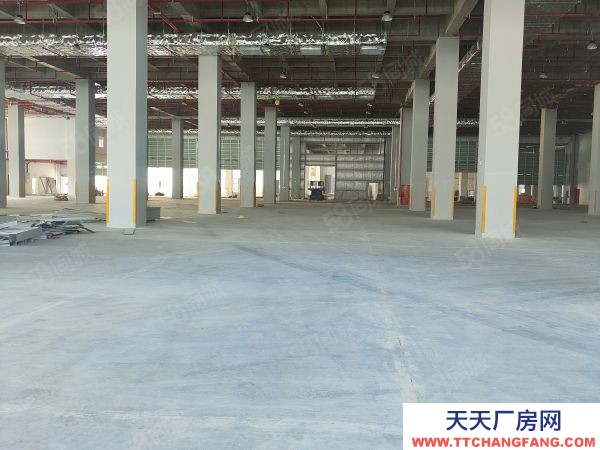 蘇州市太倉港區丙二類倉庫16500平,可分租