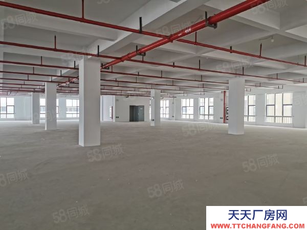 蘇州市太倉市面積12000丙類全新周轉空地廣