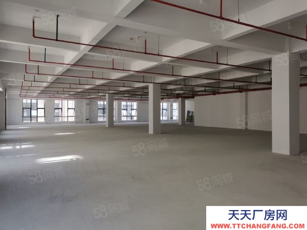 蘇州市太倉市面積12000丙類全新周轉空地廣