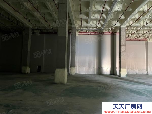 蘇州市太倉市城廂 高平臺倉庫2000平 大車好進出