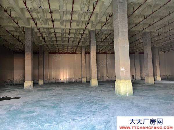 蘇州市太倉市城廂 高平臺倉庫2000平 大車好進出