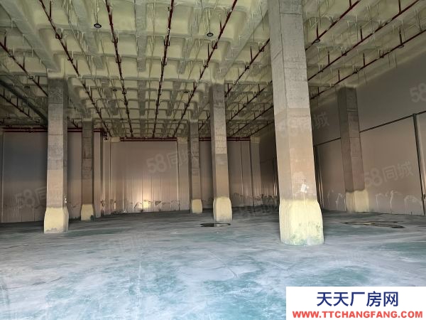 蘇州市太倉市城廂 高平臺倉庫2000平 大車好進出