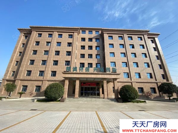 (出租) 鄭州上街新鄉(xiāng)路金華路精裝辦公樓出租