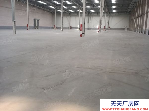 蘇州市太倉市11280單層庫高11.5m四周可以通車