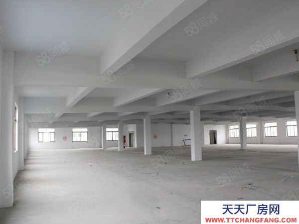 蘇州市張家港常熟尚湖1820平標準廠房，可做倉庫，3t貨梯