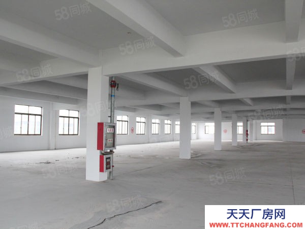 蘇州市張家港常熟尚湖1820平標準廠房，可做倉庫，3t貨梯