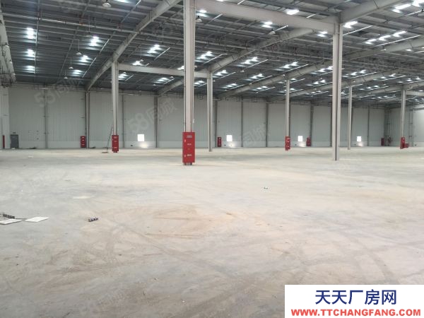 蘇州市張家港 城北100000平米丙二類倉庫雙邊出租可分租4000形象好