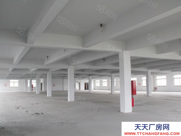 蘇州市張家港常熟尚湖1820平標(biāo)準(zhǔn)廠房，可做倉庫，3t貨梯
