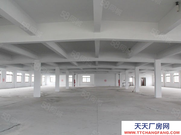 蘇州市張家港常熟尚湖1820平標(biāo)準(zhǔn)廠房，可做倉庫，3t貨梯