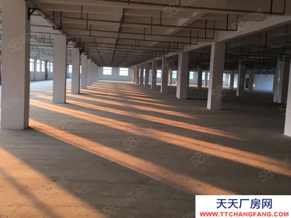 蘇州市張家港保稅區1樓 丙類有噴淋 3700平層 高6米 可配行車