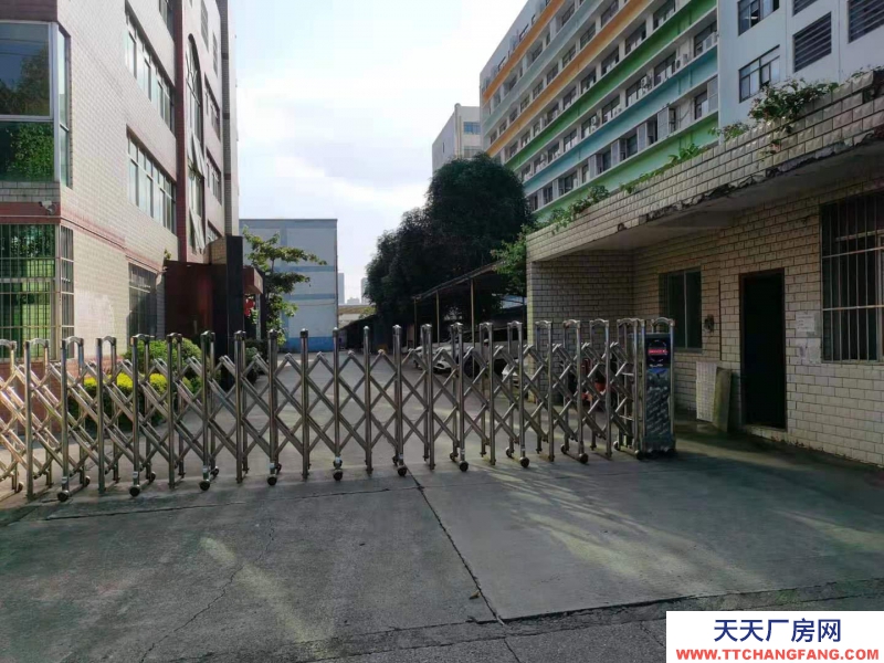 (出租)南寧市西鄉塘區西鄉塘高科路廠房、辦公室 出租