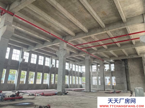 蘇州市張家港后一個(gè)獨(dú)棟廠房出售,50年產(chǎn)權(quán),首付三成起