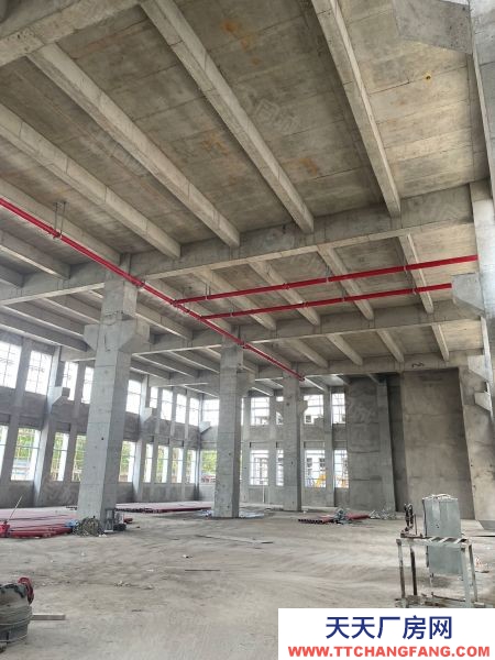 蘇州市張家港后一個獨棟廠房出售，50年產權，首付三成起