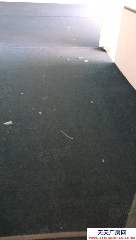 寧波江北(出租) 房東直租！2噸貨梯 5樓165平集裝箱大車 商貿跨境電商政策