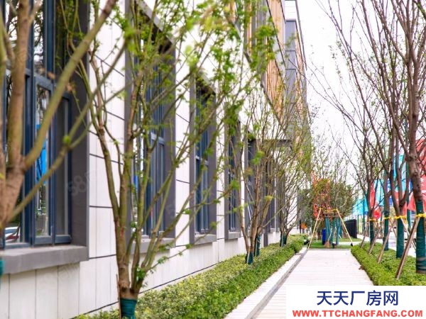 (出售) 開發商直接招商 蘇州園區廠房出售 國有用地 獨立產權