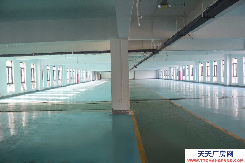 寧波江北(出租) 房東直租! 2000平 3噸電梯 大車出入方便!