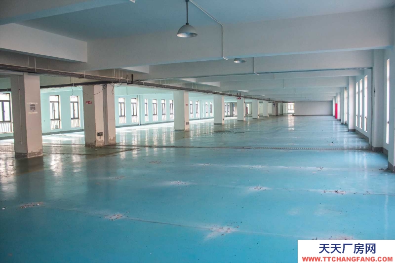 寧波江北(出租) 房東直租! 2000平 3噸電梯 大車出入方便!