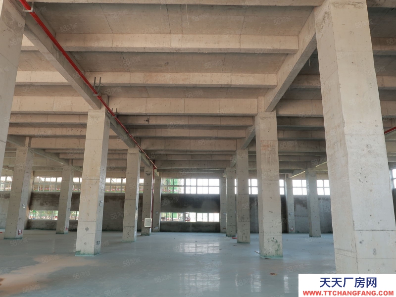 (出售) 廣州白云700至3萬(wàn)平廠房獨(dú)門獨(dú)院,50年產(chǎn)權(quán),M2用地,10年按揭