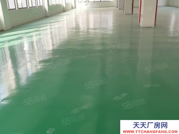 蘇州市常熟市莫城底樓標準廠房出租