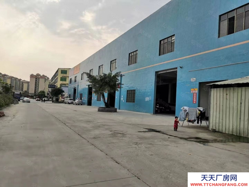 (出租) 廣州增城新塘倉庫招租。大小可分割。價格美麗！電商倉庫。物流倉儲等